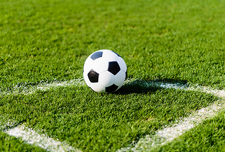 Esportes hh55.com